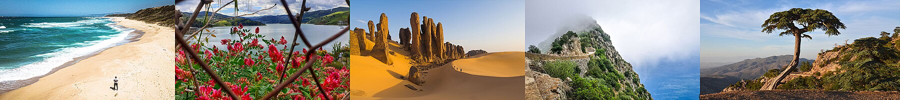 Montage d'image symbolisant l'Algérie