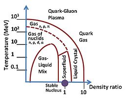 Phases of nuclear matter; Compare with Siemens & Jensen.