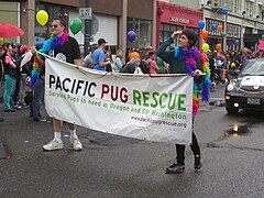 Pacific Pug Rescue