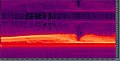 A Spectral Analysis of the sample SSTV transmission