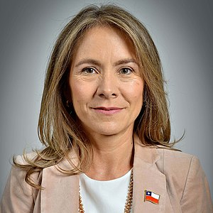 Susana Jiménez Schuster