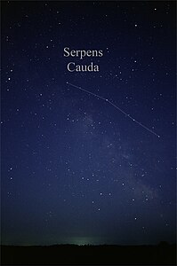 へび座の尾部 (Serpens Cauda)。