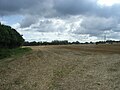 Hay bales in fields near Wormshill