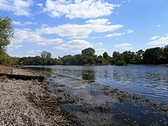 Île à Seguin.