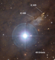 IC 429 and IC 430 next to the bright foreground star 49 Ori. V883 Ori is the faint star just beyond the tip of IC 429.