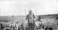 Turkish shepherd circa 1926