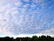 Altocumulus