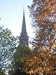 Steeple of Arlington Street Church viewed through autumn foliage of the Public Garden