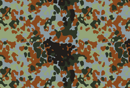 Бельгийский Flecktarn