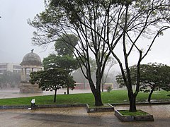 El parque durante un aguacero