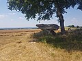 Dolmen du Gouty