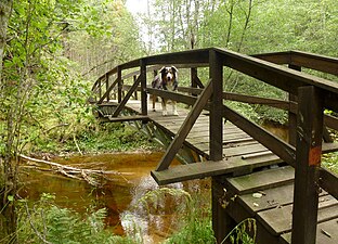 Gångbro över Ljusterån