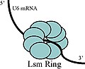 2009年3月30日 (月) 02:56時点における版のサムネイル