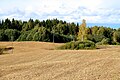 Landscape near Lutike