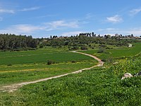 Moshav "Tzafririm" in Spring