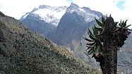 Glaciers on Mount Speke in the Rwenzori Mountains