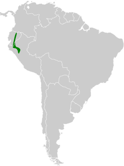 Distribución geográfica del mosquero pechioliva.