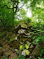 Taunus-Quarzitmassiv „Katzenfelsen“