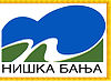 Flag of Niška Banja