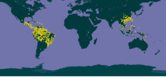 Mapa do GBIF de distribuição do gênero Ormosia.[1]