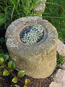 Un cylindre de pierre rempli de terre où poussent des fleurs.