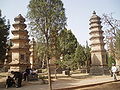 Šuma pagoda