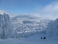 Vignette pour la version du 6 février 2017 à 20:40