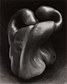 Image 98Pepper No. 30, by Edward Weston (edited by Bammesk) (from Wikipedia:Featured pictures/Artwork/Others)
