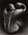 Image 93Pepper No. 30, by Edward Weston (edited by Bammesk) (from Wikipedia:Featured pictures/Artwork/Others)