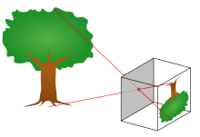 Principle of a pinhole camera. Light rays from an object pass through a small hole to form an image.