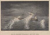 Racoon in a gale, 10 December 1858