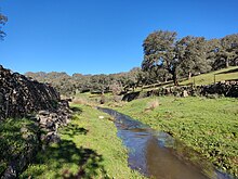 Río Bodión llegando al embalse de Tentudía