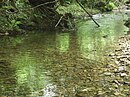 RNF Tramo medio del río Agüeira