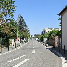 Image illustrative de l’article Rue Edmond-Rostand (Toulouse)