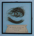 Sample of Edward Jenners hair, 1823