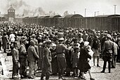 Jews arriving at Auschwitz II, 1944