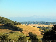 Le Gers, en été. Au dernier plan, la chaîne des Pyrénées.