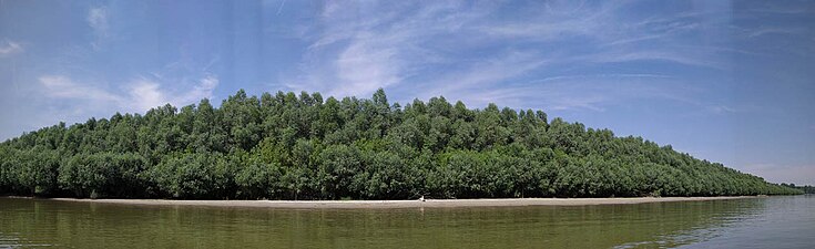 Плажа на средини Форконтумца у средњим водама