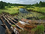 Большая Волосница