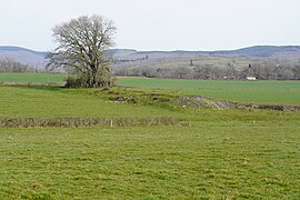 Le terril du puits Guilloux du Bois Saint-Romain.