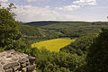 Blick von der Arnsburg auf das Wippertal