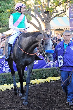 Arrogate-BCC2016-1.jpg