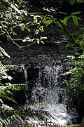 Balch Creek waterfall