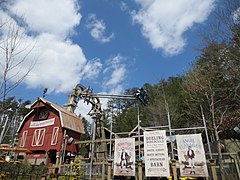 Barnstormer à Dollywood