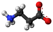 Ball-and-stick model of the β-alanine molecule as a zwitterion