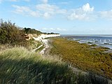 Pegwell Bay, part of Sandwich and Pegwell Bay National Nature Reserve