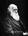تشارلز داروين، اشتهر بنظرية التطور ومبدأ الانتخاب الطبيعي، حول نشأة الإنسان.