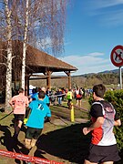 Cross départemental organisé à Iloa.