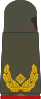 Brigadegeneral (field suit)
