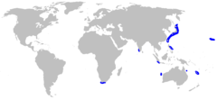 Área de distribuição da raia-de-seis-guelras[2]